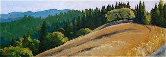 Cort - Landscape Cort - Landscape