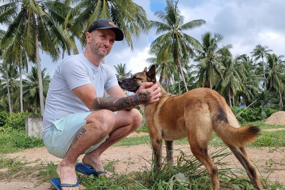 Best Culture Newsletters on Substack