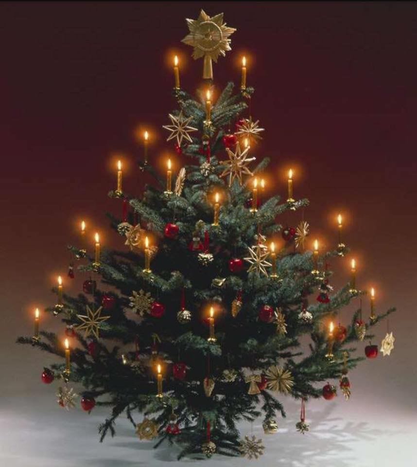 Pin by C CLEM on FAVORITE TIME OF THE YEAR | Holiday christmas tree ...