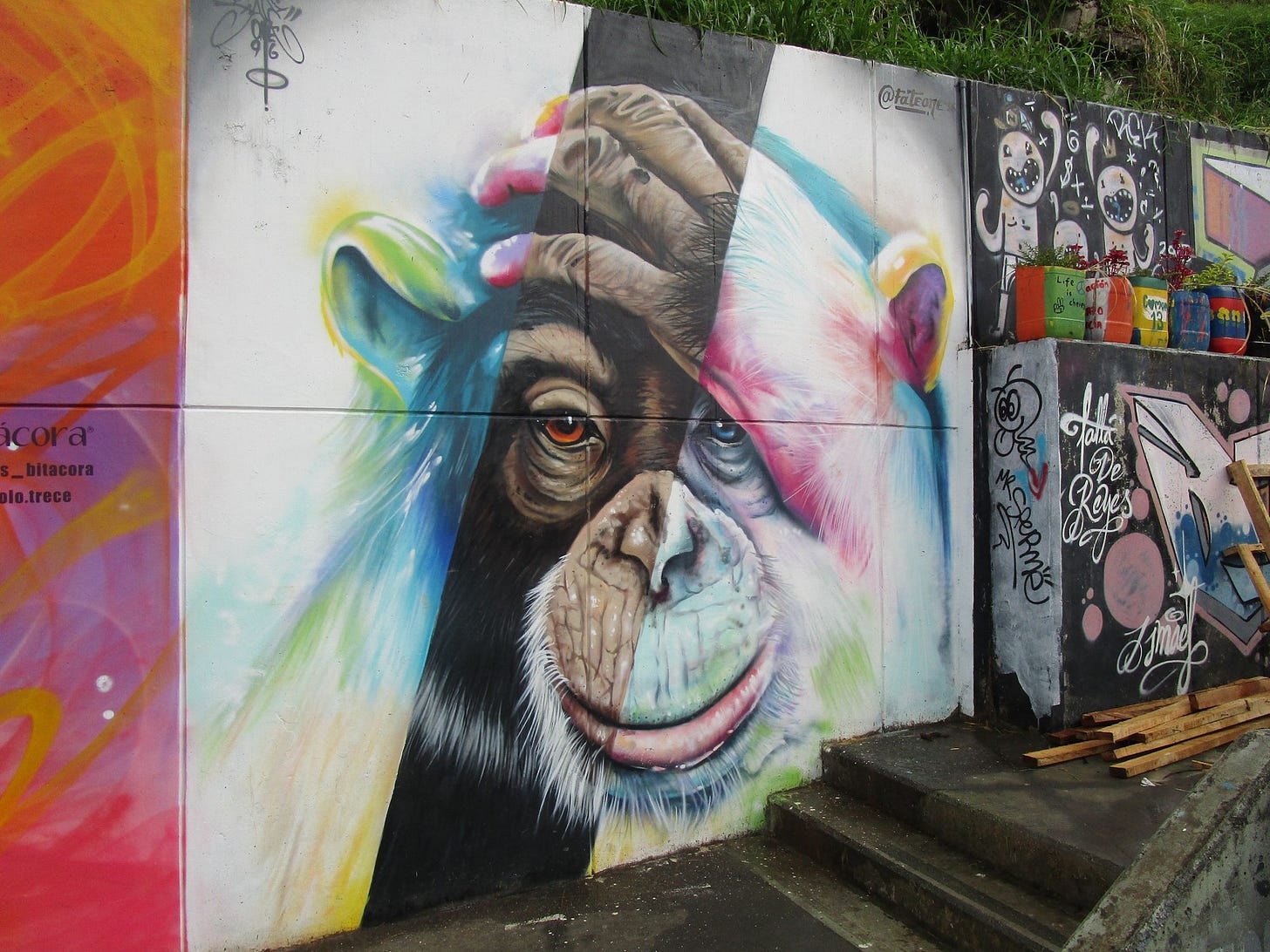 Medellín: Stepping out of the shadows