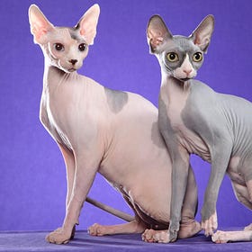5 ways to skin a (genetically modified) cat