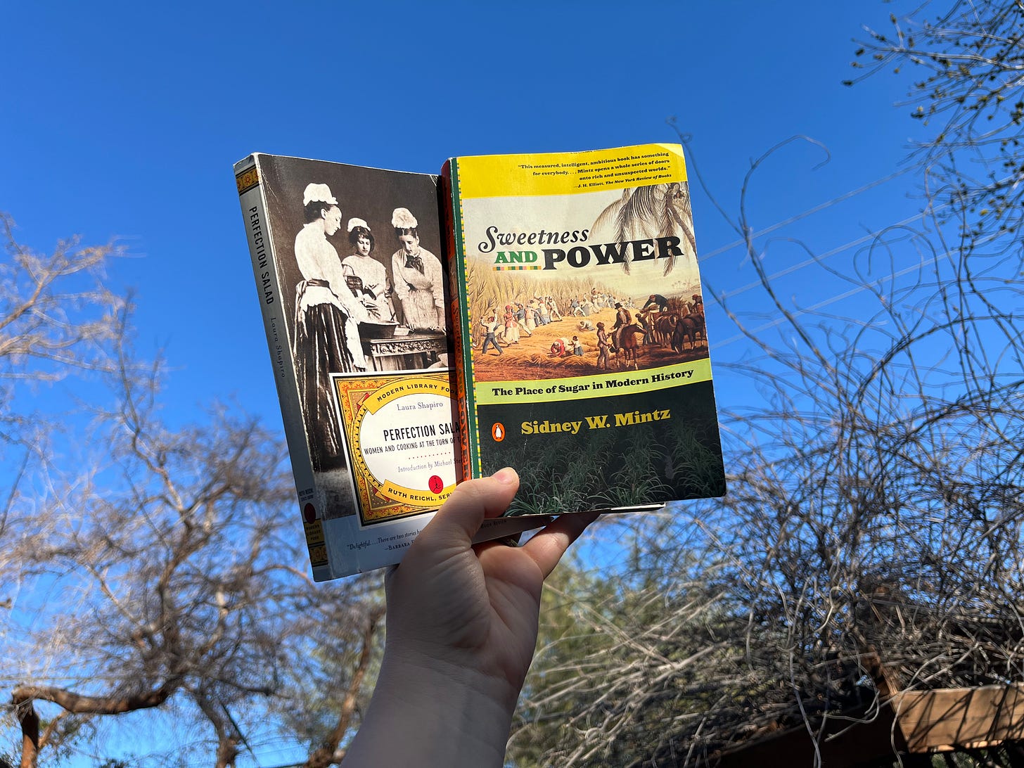 me holding up the two books PERFECTION SALAD and SWEETNESS AND POWER against the sky in my backyard