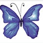 Neonatal Butterfly Project's avatar