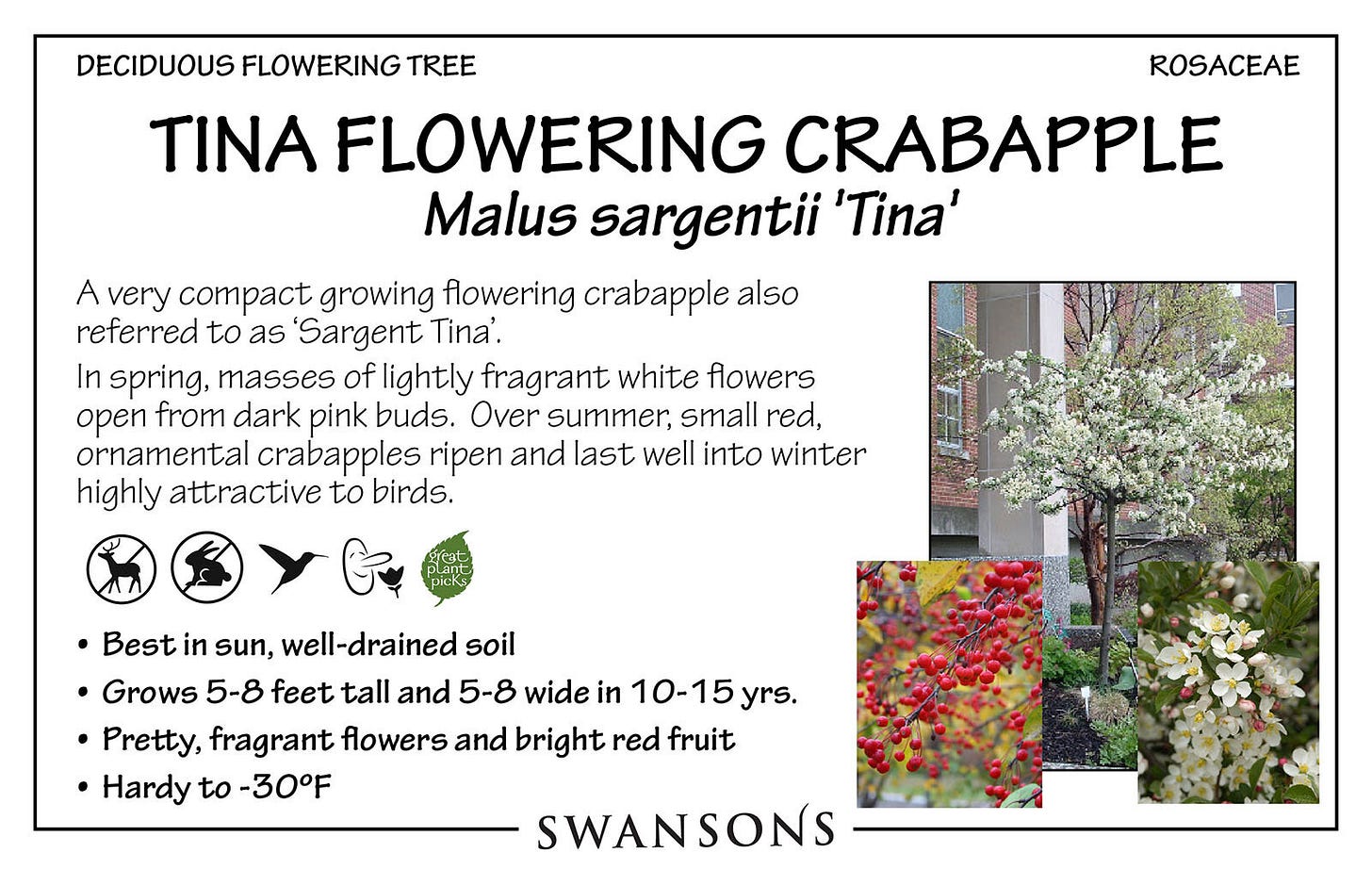 Reading the Signs — Seattle's Favorite Garden Store Since 1924 - Swansons  Nursery