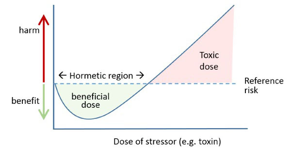 Have You Heard Of Hormesis? | Seven Health: Intuitive Eating and Anti Diet  Nutritionist