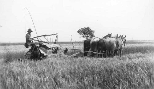 Source: Kansas Historical Society