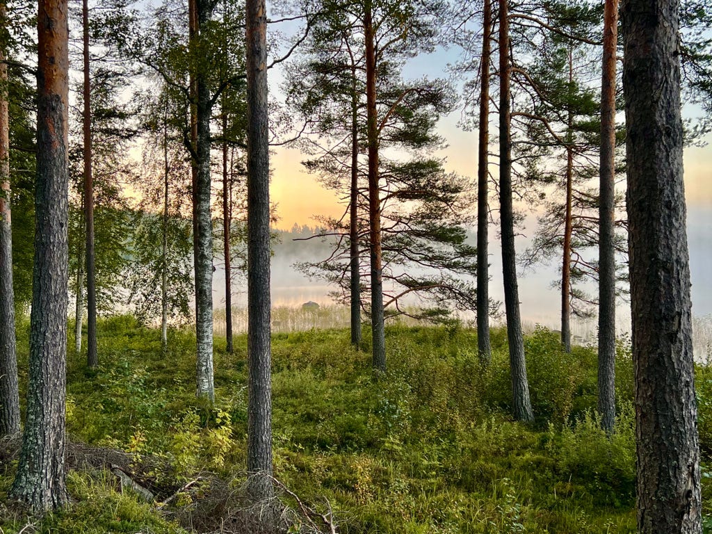 The End of Summer