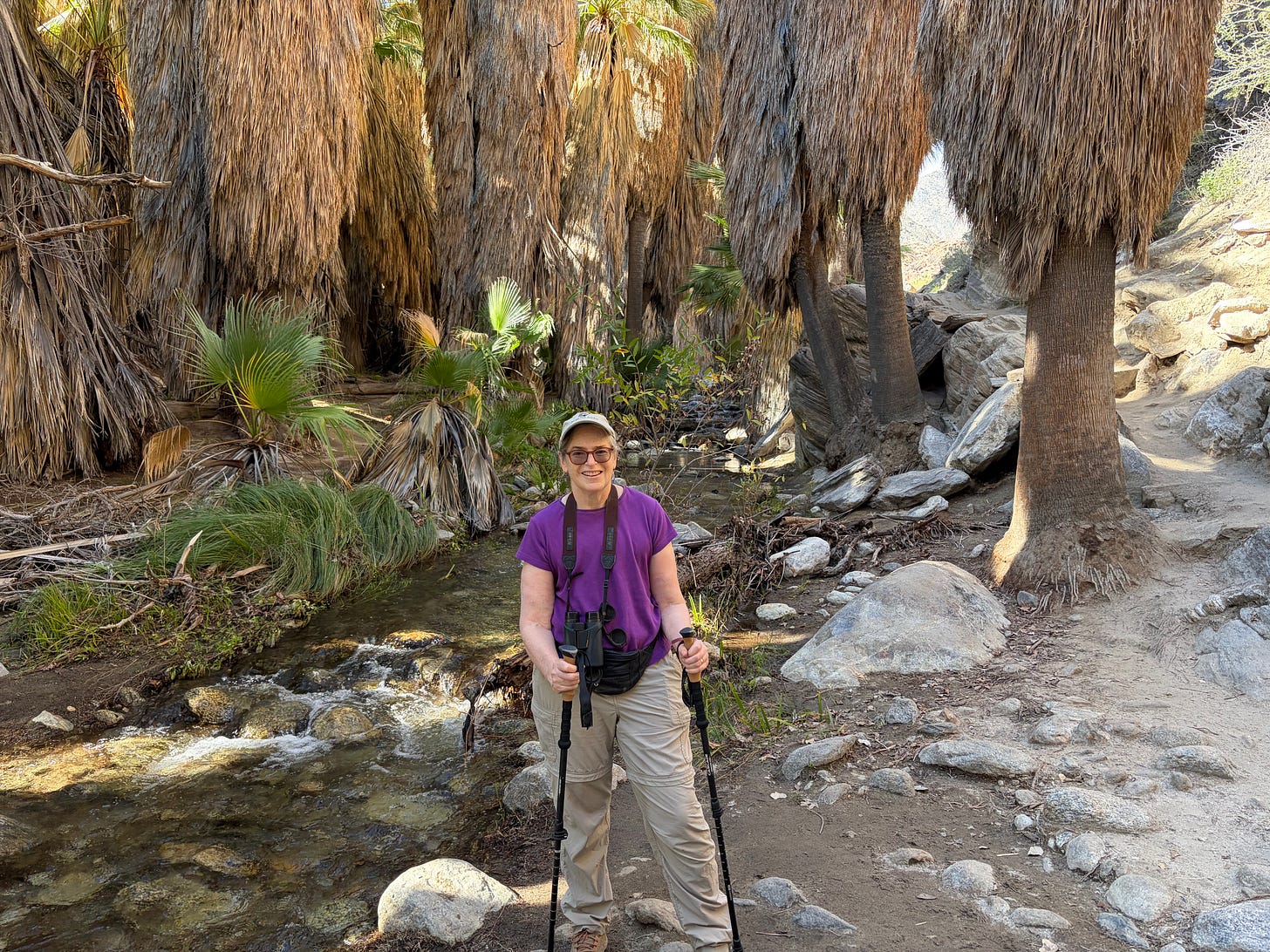 Woman with hikingpoles standing on a trail in front of a creek and palm grove. 