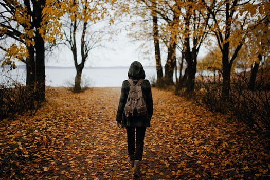 Lone walker, pathless forest, toward the lake Lone walker, pathless forest, toward the lake