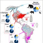 Anthropology.net