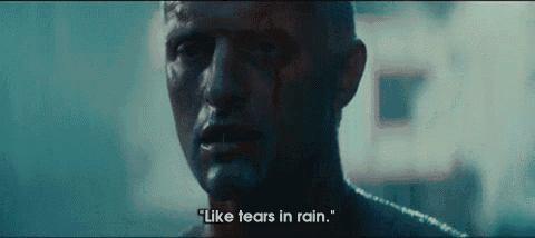 And There's A Lot Of Rain. GIF - RidelyScott BladeRunner RutgerHauer ...