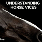 ABCs of Horses Podcast & Magazine