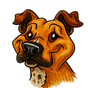 Jenn's avatar