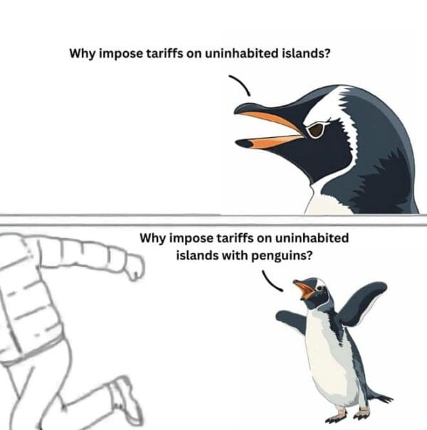 Viral penguin memes emerge after trump's tariffs on uninhabited island - Daily Times Viral penguin memes emerge after trump's tariffs on uninhabited island - Daily Times