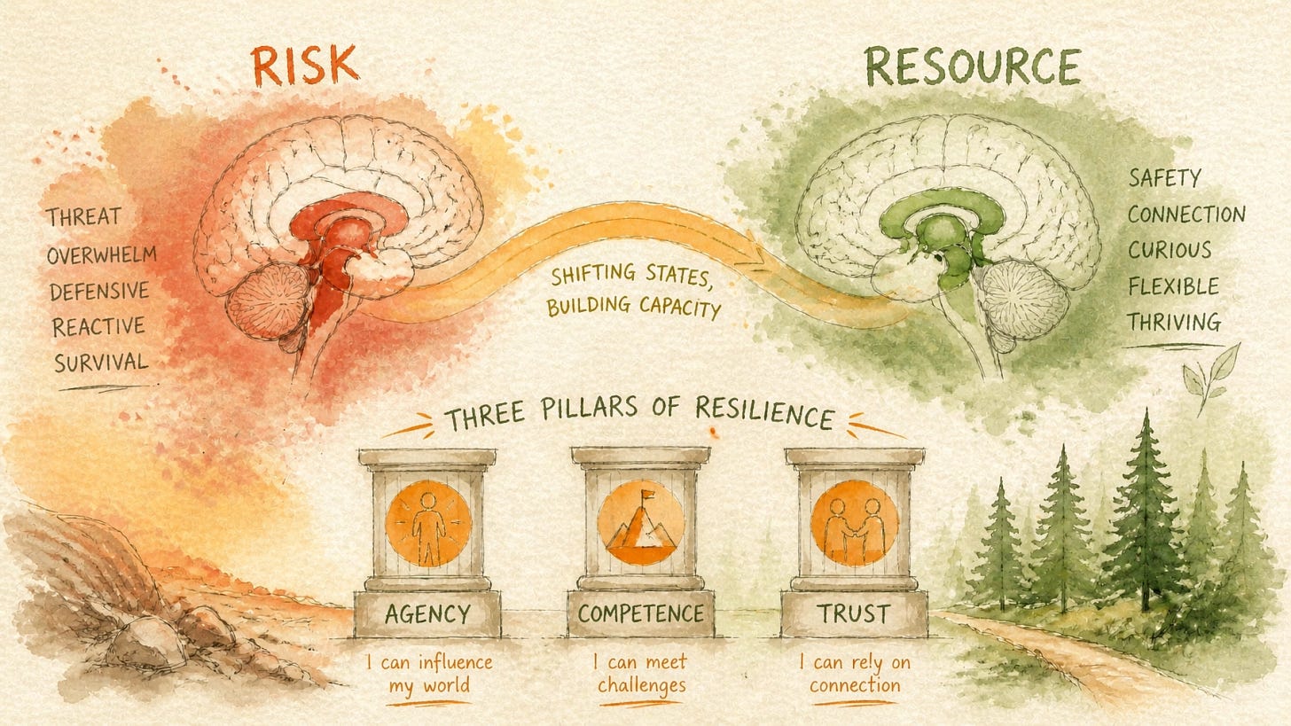 Framework illustrating how the brain reclassifies AI from perceived risk to resource when three conditions are present: agency, competence, and trust — drawn from KPMG workforce innovation research by Edwige Sacco Framework illustrating how the brain reclassifies AI from perceived risk to resource when three conditions are present: agency, competence, and trust — drawn from KPMG workforce innovation research by Edwige Sacco