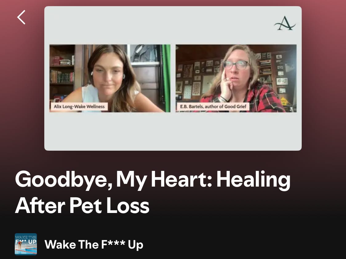 Screenshot of the "Goodbye, My Heart" episode of the Wake The F*** Up podcast