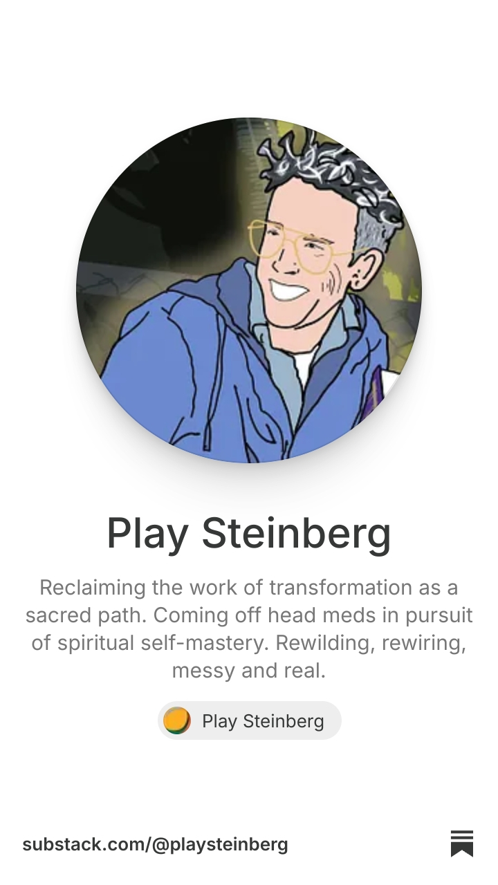 Play Steinberg | Substack