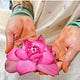 Blossoming by Jayshree