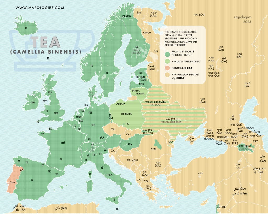 Etymology map of "Tea" (camellia sinensis) in several languages