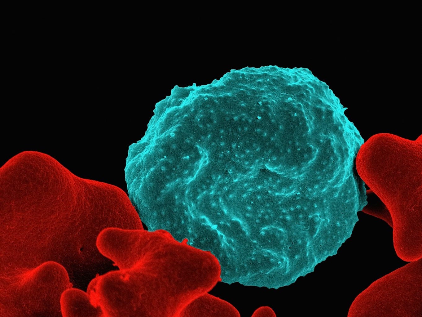 a red and blue substance in a black background a red and blue substance in a black background