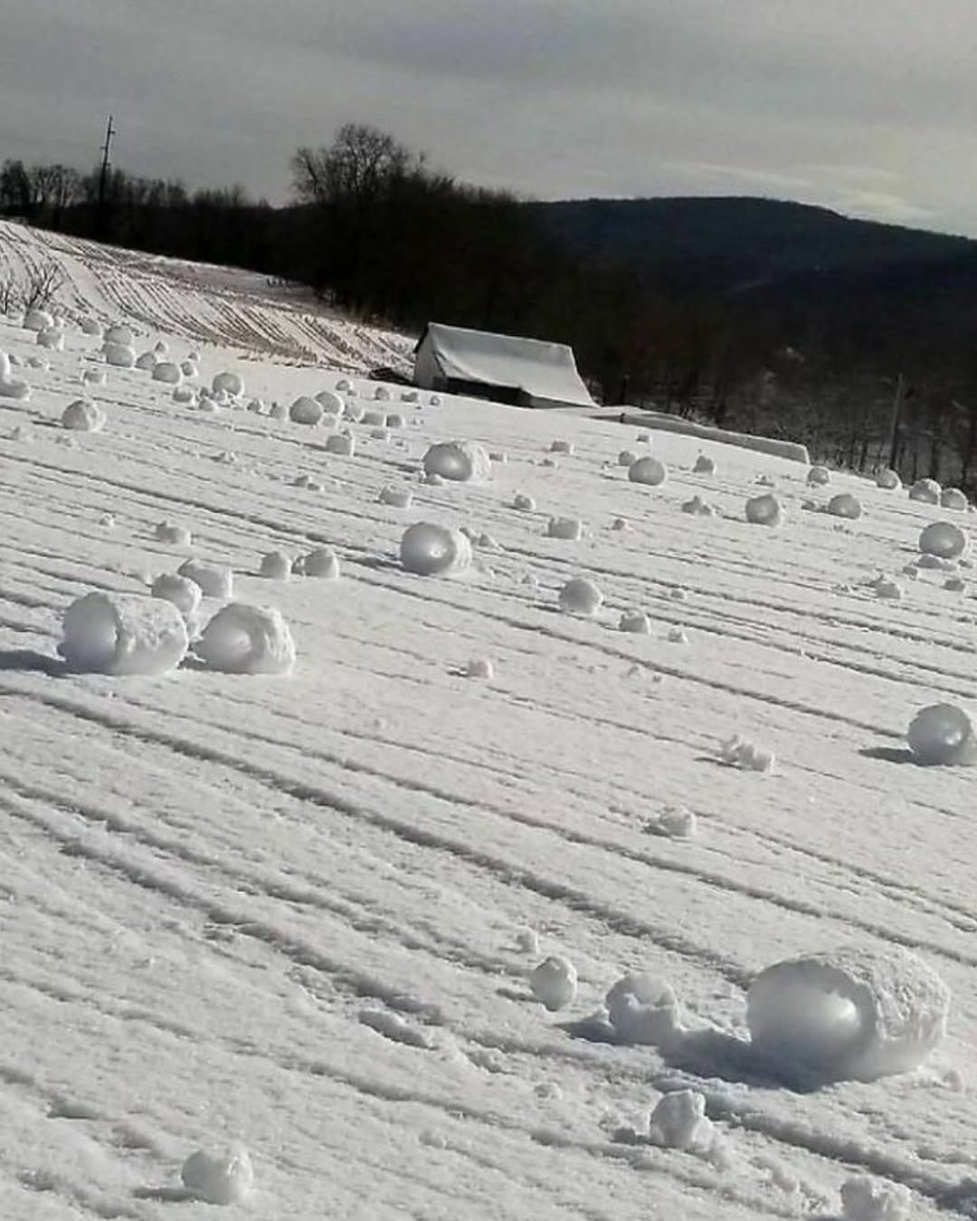 An Instagram  post added on Dec 06, 2024. The author is @artneversleeps. May present: rolling snow, snow, snow roller.