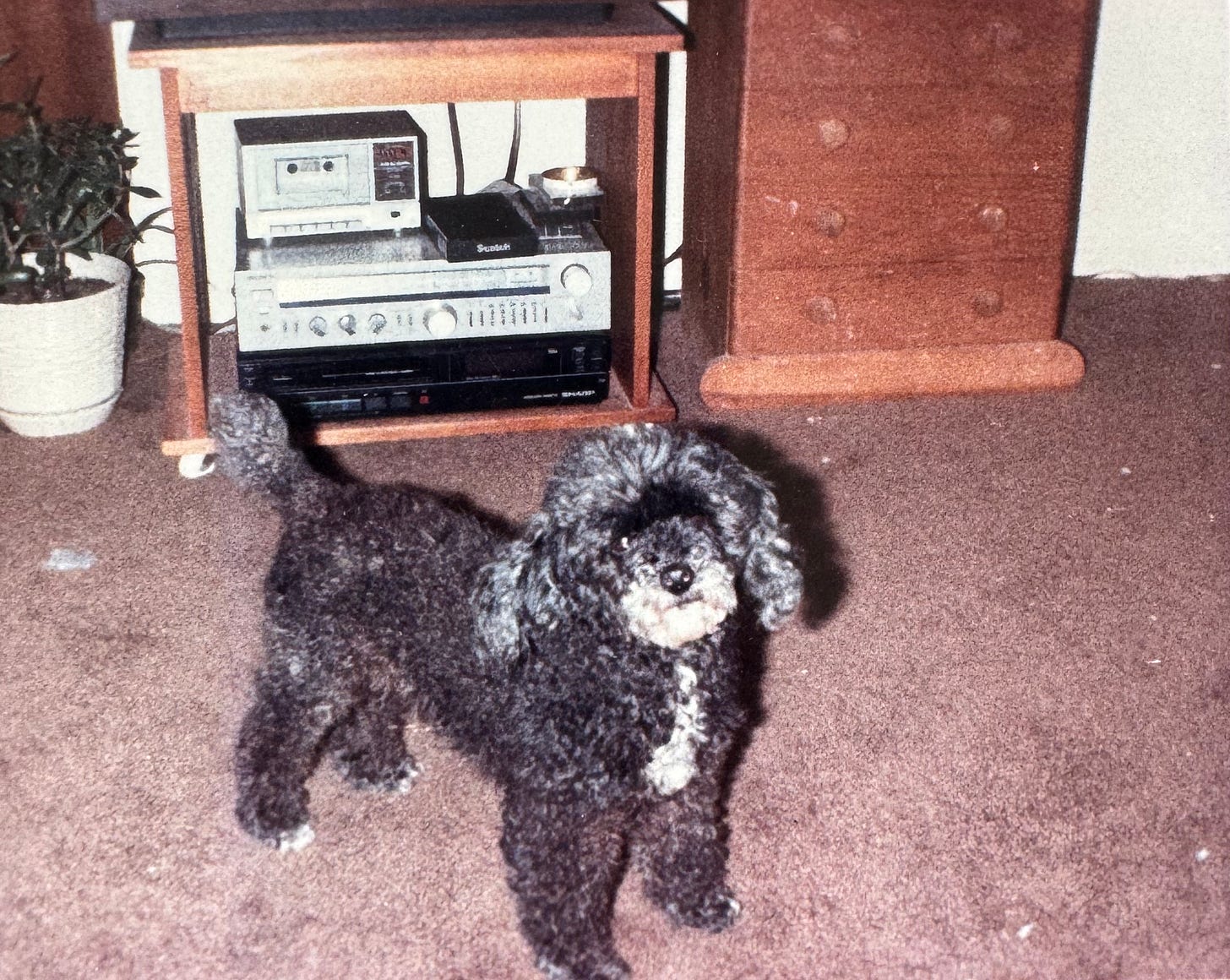 Miss Thing (original), circa 1987-ish