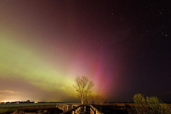 Yellow, green, red, pink and purple color mixed with stars and a patch of dark sky.  A single tree in a field is on the ground.