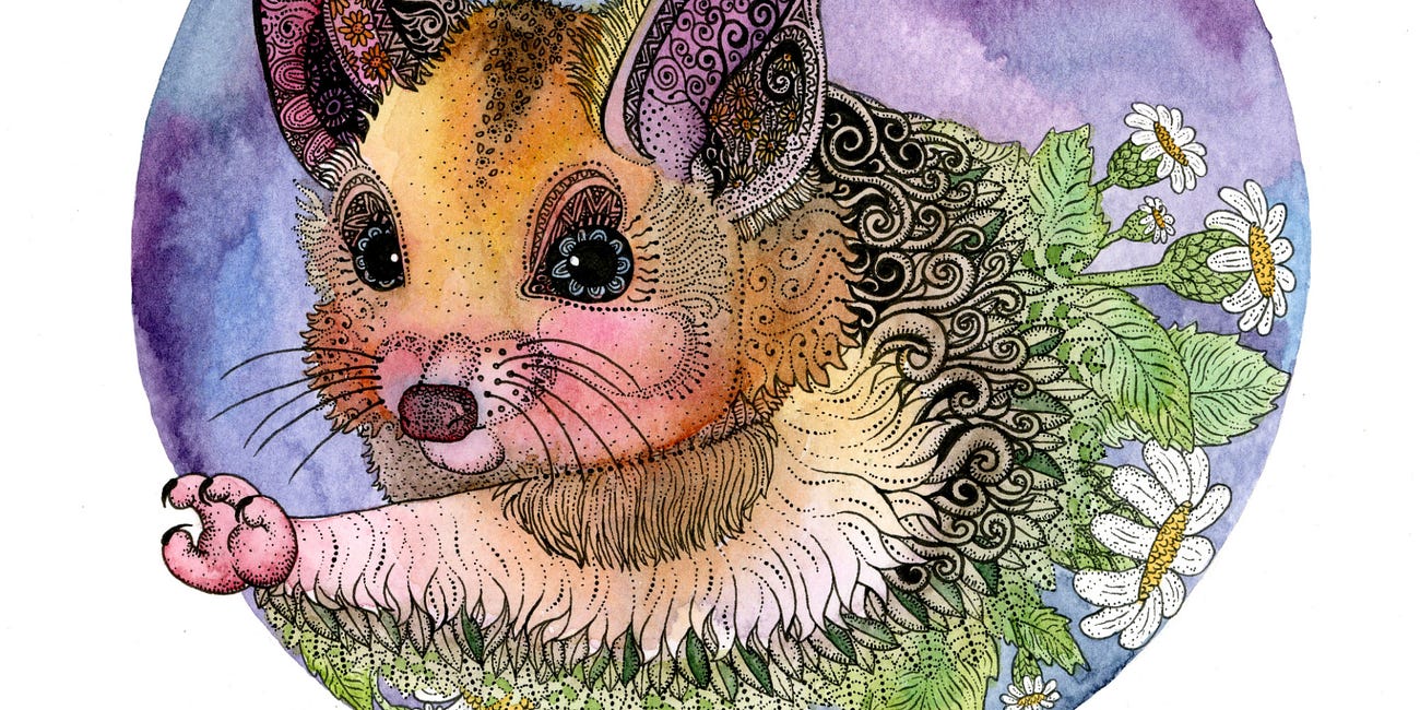 D is for Dunnart