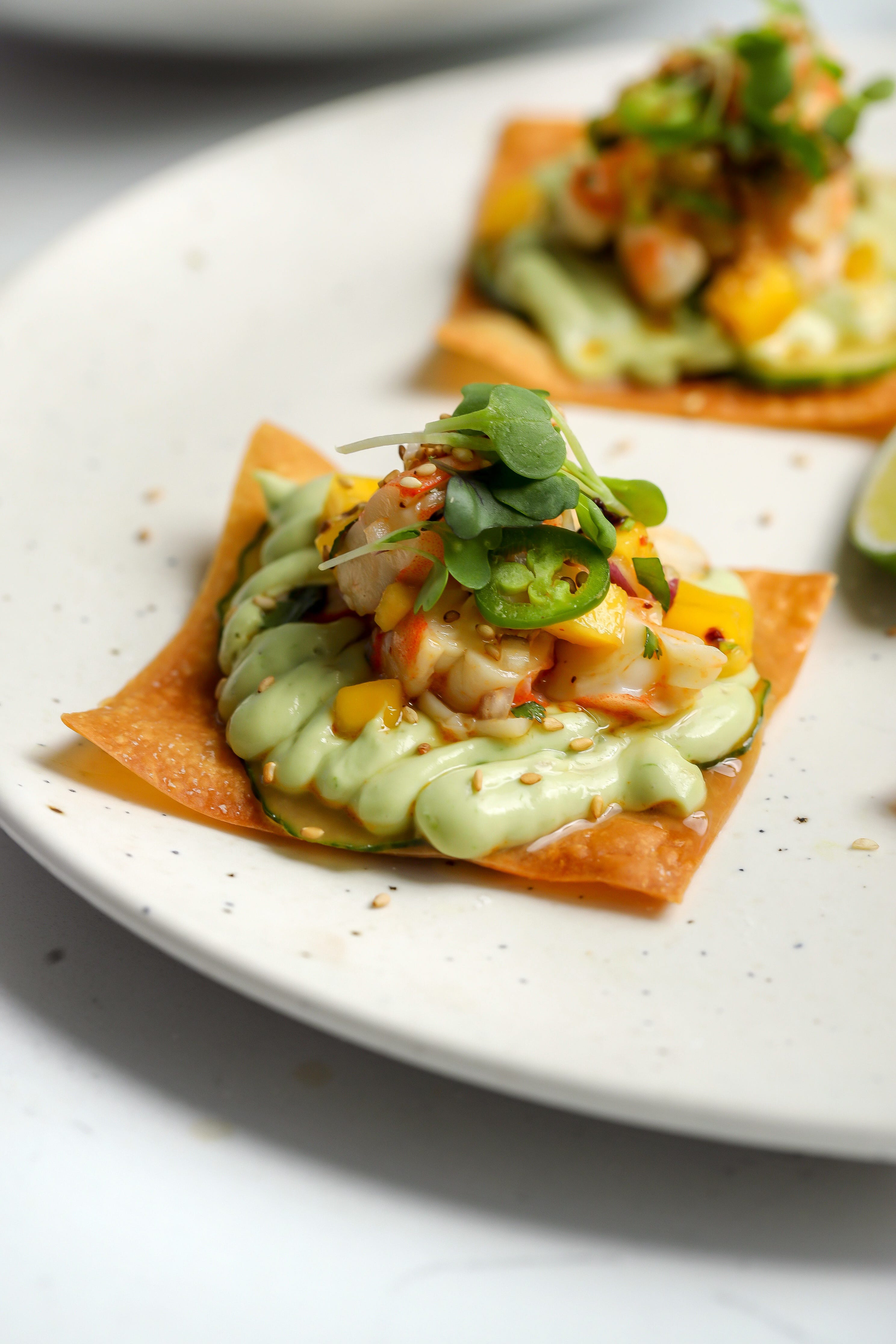 Shrimp Wonton Tostadas - by Nadia Aidi (FoodMyMuse)