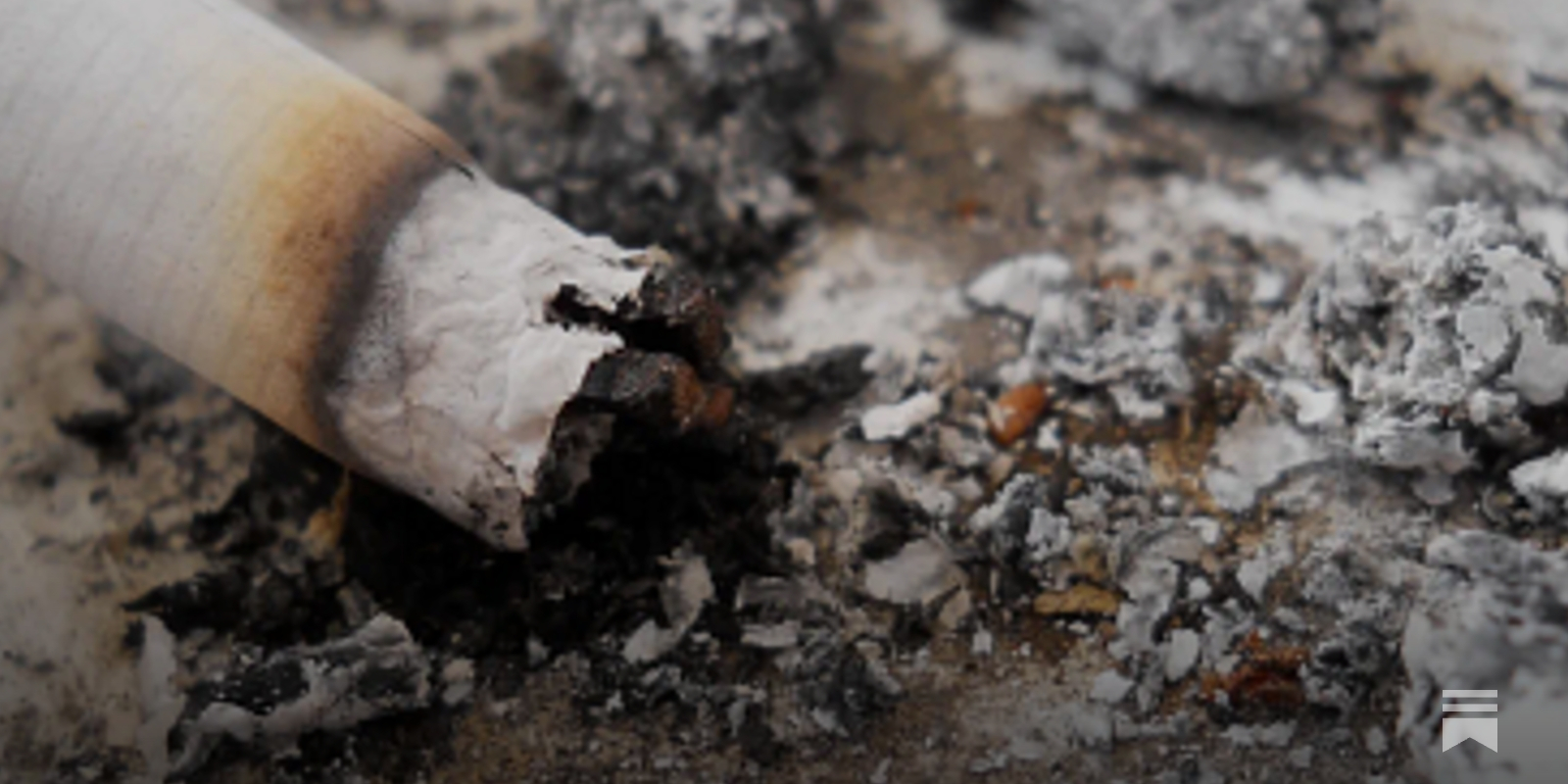 new tobacco legislation New Hanover County school agenda includes resolution in support of Solly's  Law