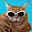 Eileen Yaeger's avatar
