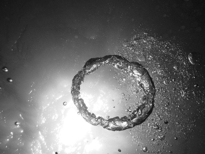 An underwater bubble ring, similar to those made by humpback whales, possibly as a form of communication.