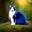 Scuba Cat's avatar