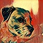Nelson Haukap's avatar