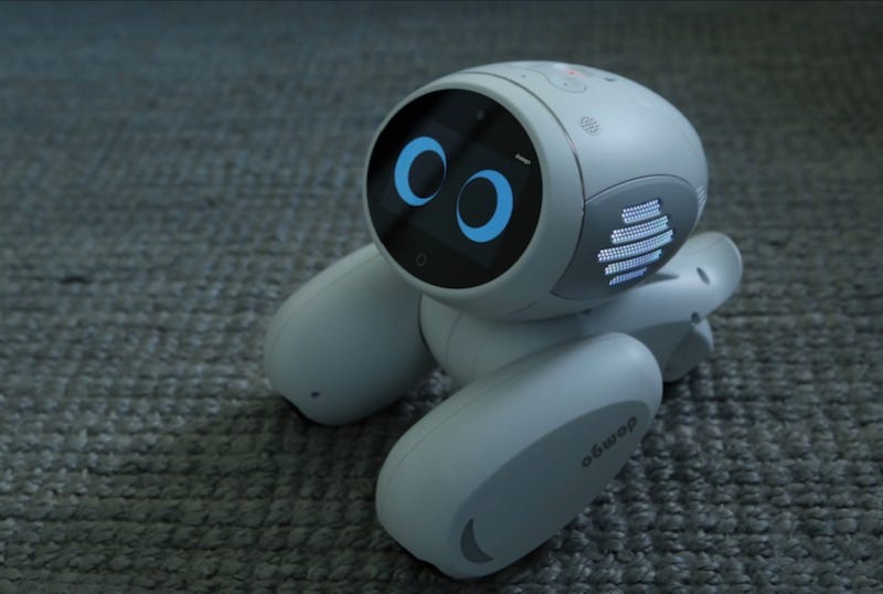 Meet Domgy, an AI pet robot from Beijing startup ROOBO | TechCrunch