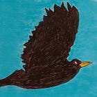 Blackbird story takes flight for first time octogenarian author