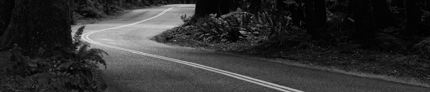 Photograph of a winding paved road in a forest.