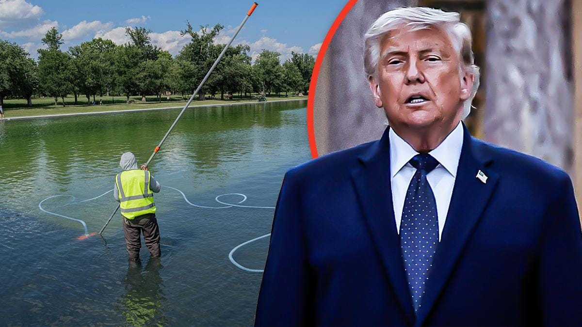 Donald Trump and Lincoln Memorial Reflecting Pool