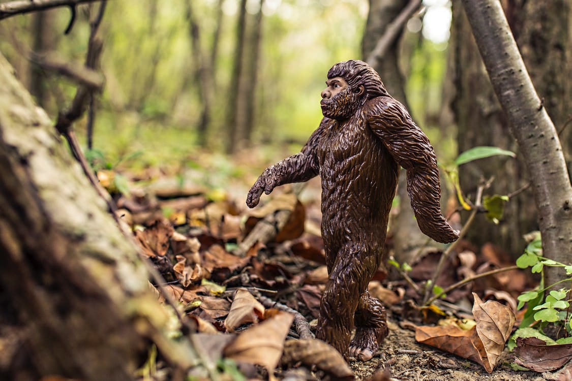 Free Apeman Garden Decor Close-up Photography Stock Photo