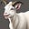 Laughing Goat's avatar