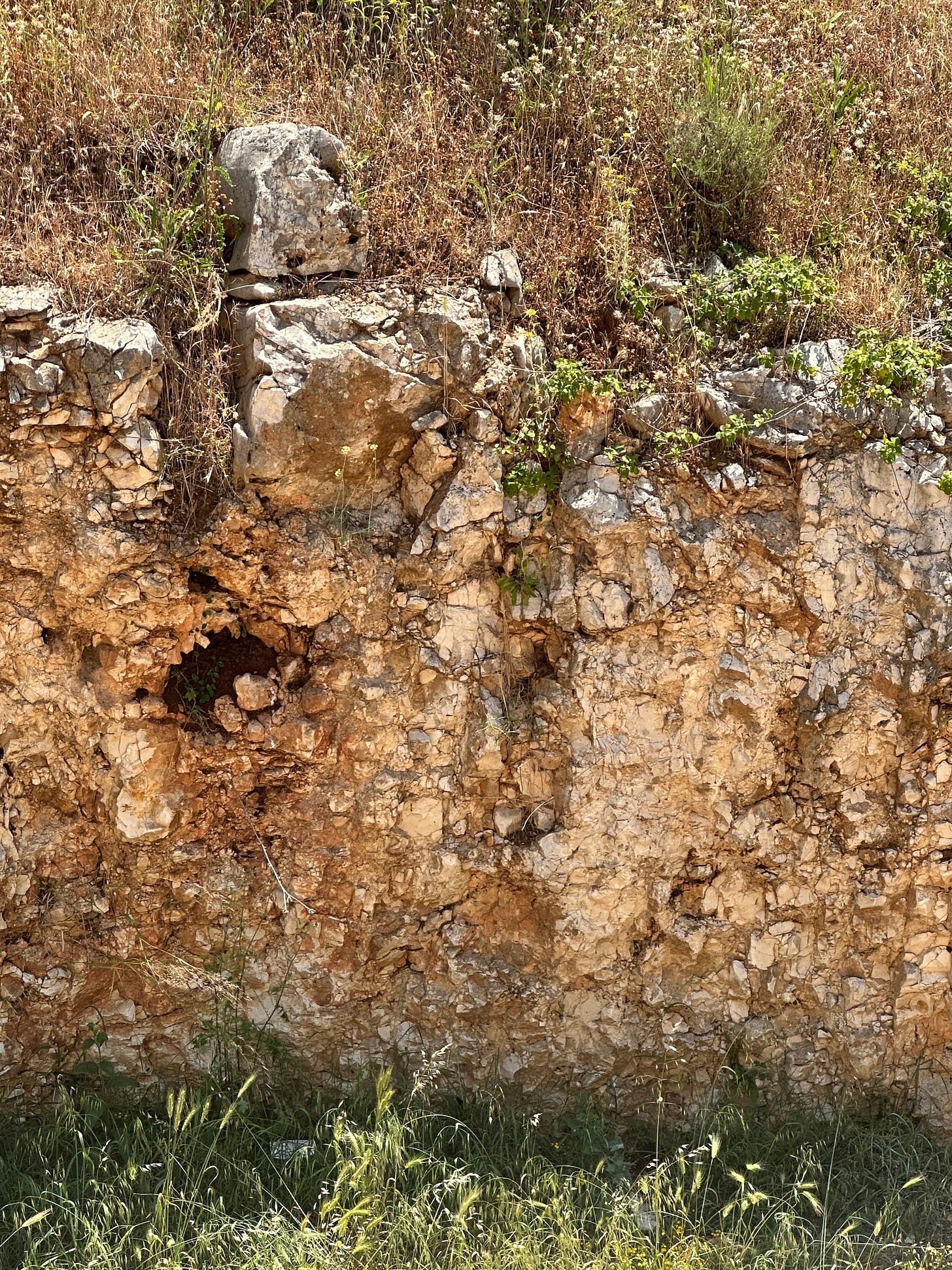 limestone soil Gioia del Colle