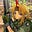 EightBallNews's avatar