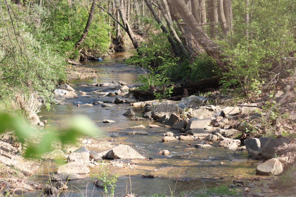 Turkeycock Creek runs between the site of the potential data center and Bren Pointe townhomes. Credit: Charles Paullin/Inside Climate News