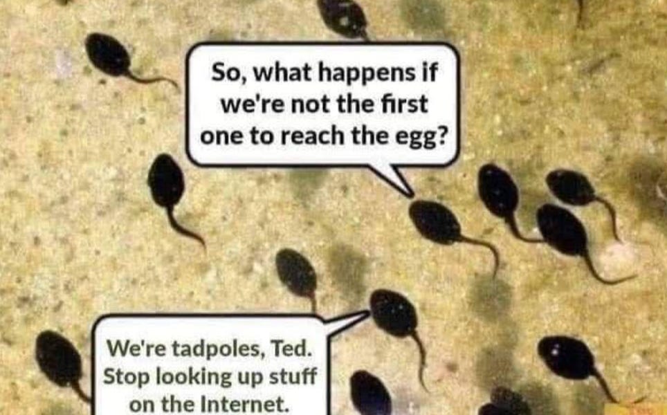 Sunday Strip: Better Not Be...