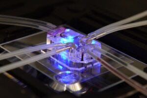 Developed by the Wyss Institute at Harvard University, the lung-on-a-chip combines microfabrication and tissue engineering to replicate the complex mechanical and biochemical functions of a human lung. This innovative in vitro model offers a new approach to drug screening and was supported by the NIH Common Fund and the FDA.