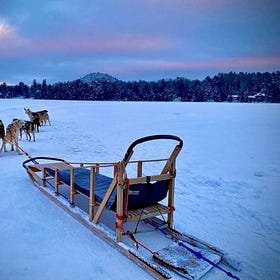 Weekend Wanderer: dog sled tours on frozen Mirror Lake in Lake Placid 