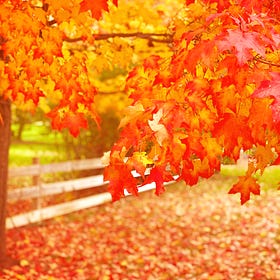 Saying Goodbye to October