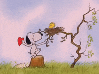 Snoopy sticks a red heart on Woodstock's nose. Snoopy sticks a red heart on Woodstock's nose.