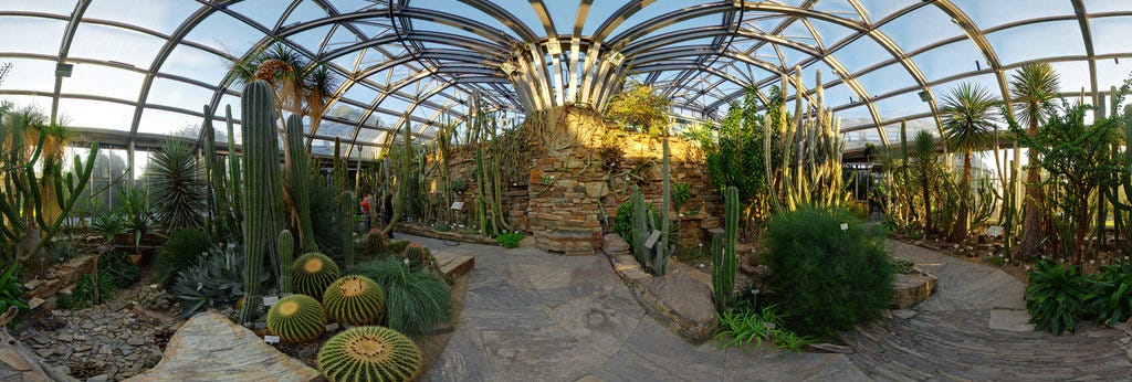 Botanical Garden Berlin, Cactus greenhouse 360 Panorama | 360Cities