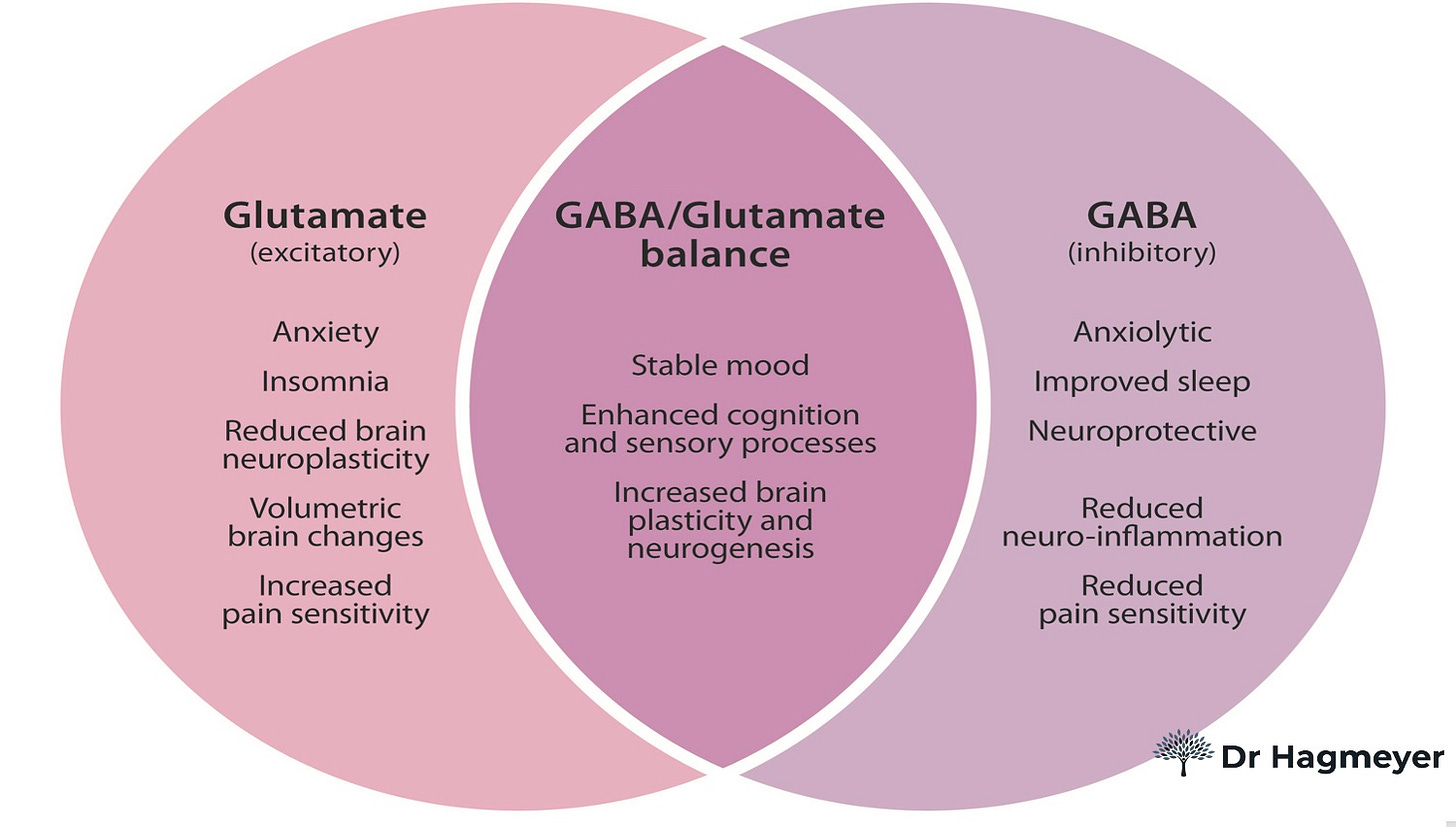 Anxiety and Neurotransmitters: Balancing Act of Glutamate and GABA